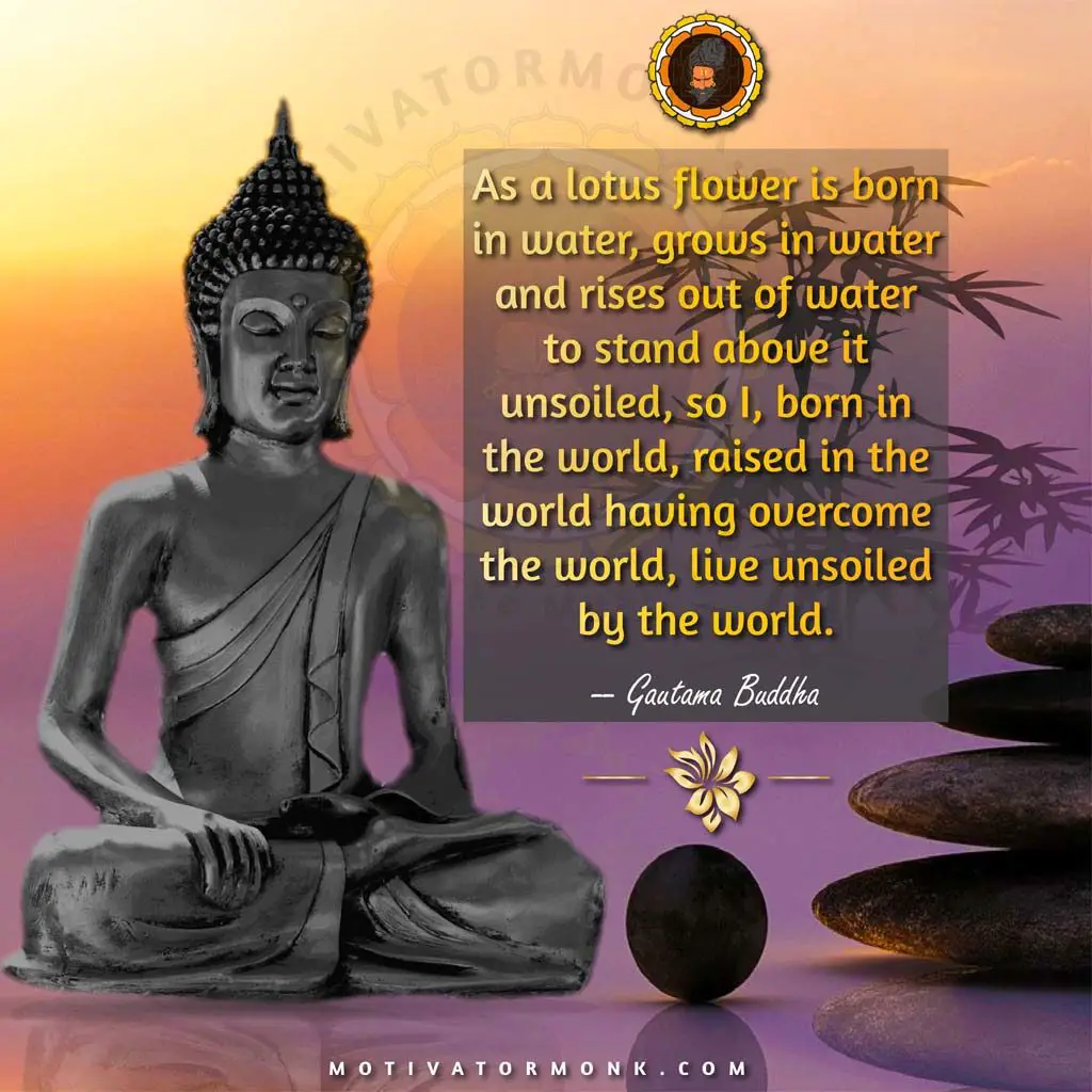 Gautam buddha quotes on karmaAs a lotus flower is born in water, grows in water, and rises out of the water to stand above it unsoiled, so I, born in the world, raised in the world having overcome the world, live unsoiled by the world.
